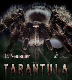 Dr Neubauer Tarantula